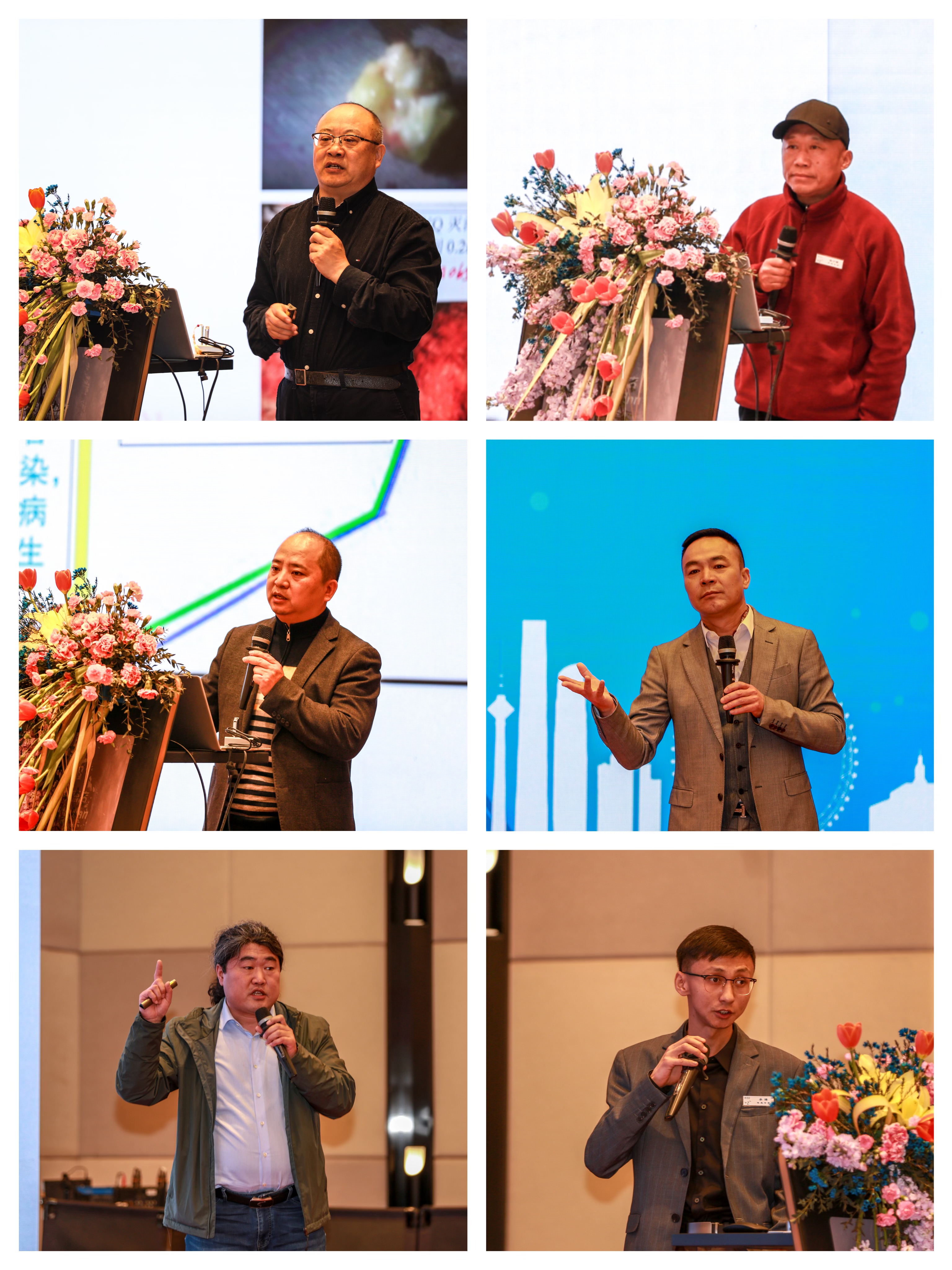 专家讲话.jpg